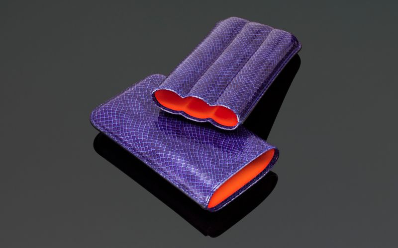 Siglo Lizard Pattern Case - Indigo