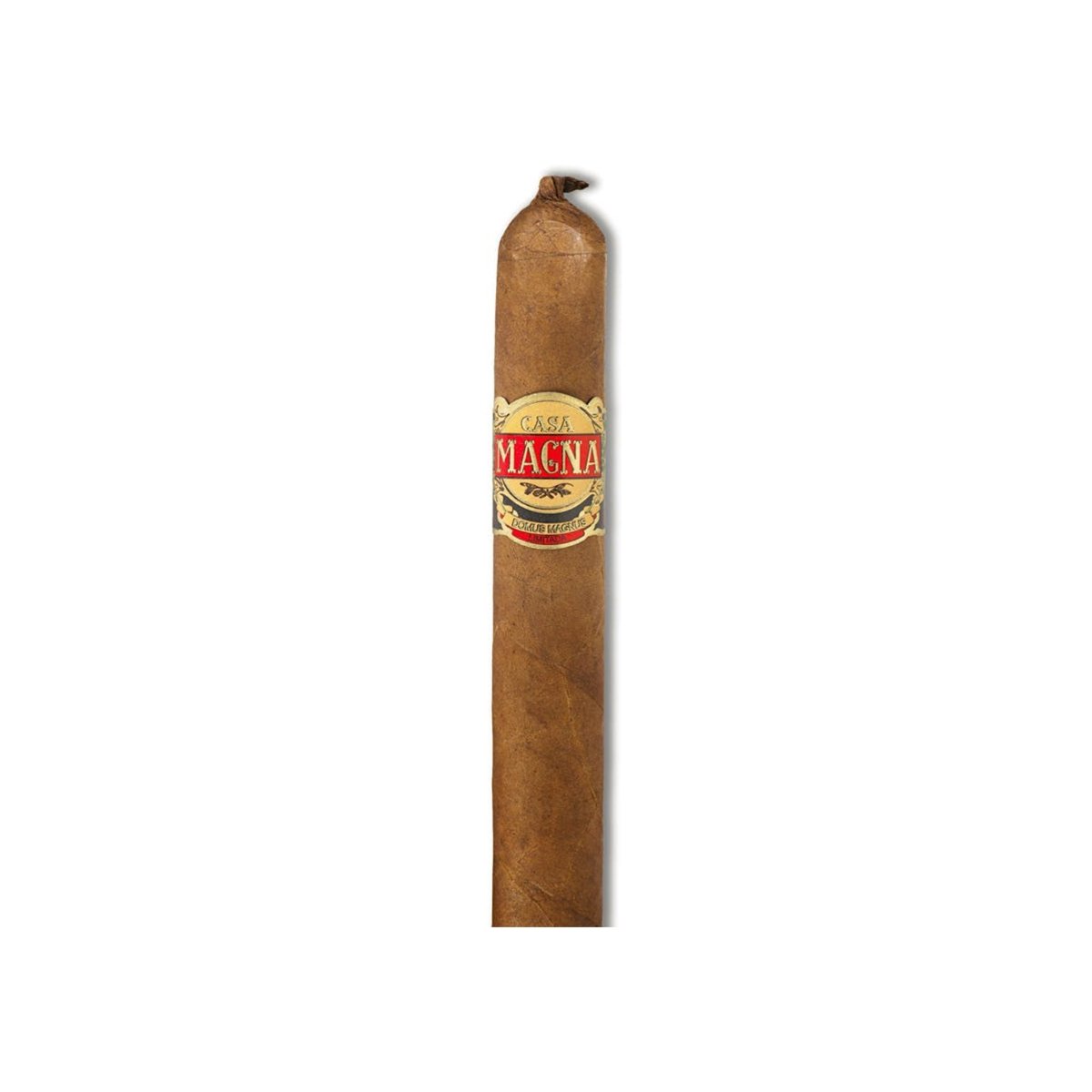 Casa Magna - Domus Magnus II Primus - CIGAR VAULT
