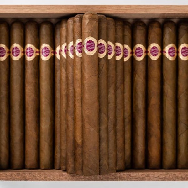 Warped Maestro del Tiempo - CIGAR VAULT