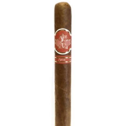 Matilde Canadá Exclusivo