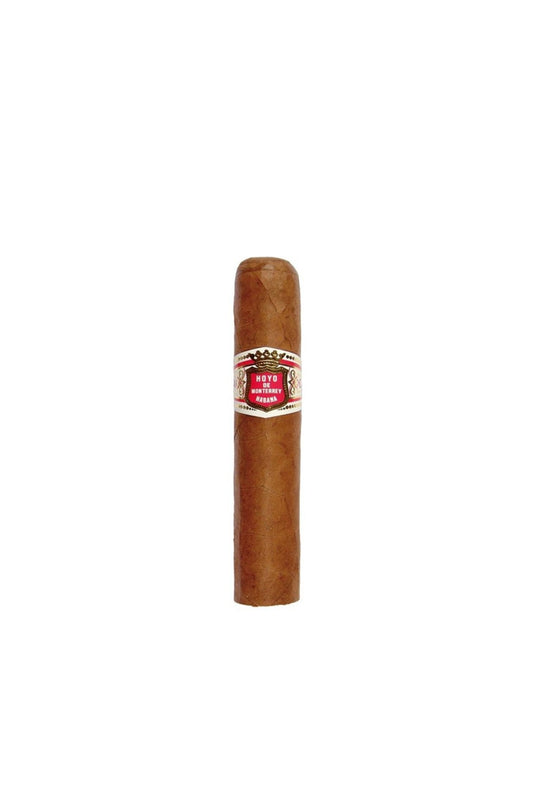 Hoyo De Monterrey Petit Robusto - CIGAR VAULT