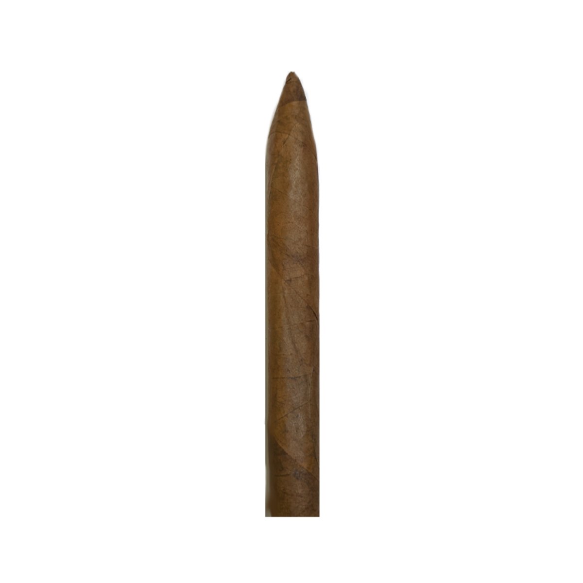 Junction Torpedo CIGAR VAULT
